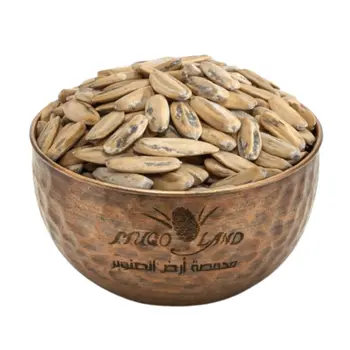 حب دوار الشمس تركي 250جرام