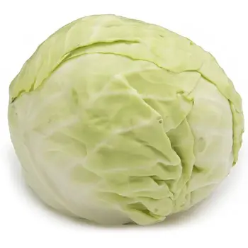 Stuffed Cabbage Rolls 1Piece