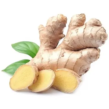 Zod Fresh Ginger Tray 500g