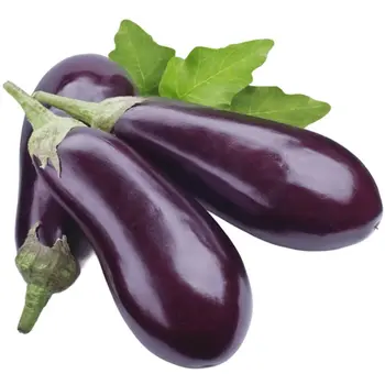 Zod Eggplant Punnet 450g