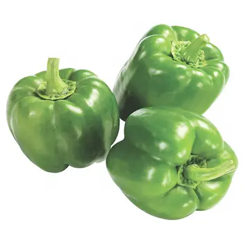 Zod Green Chili Bag 500g