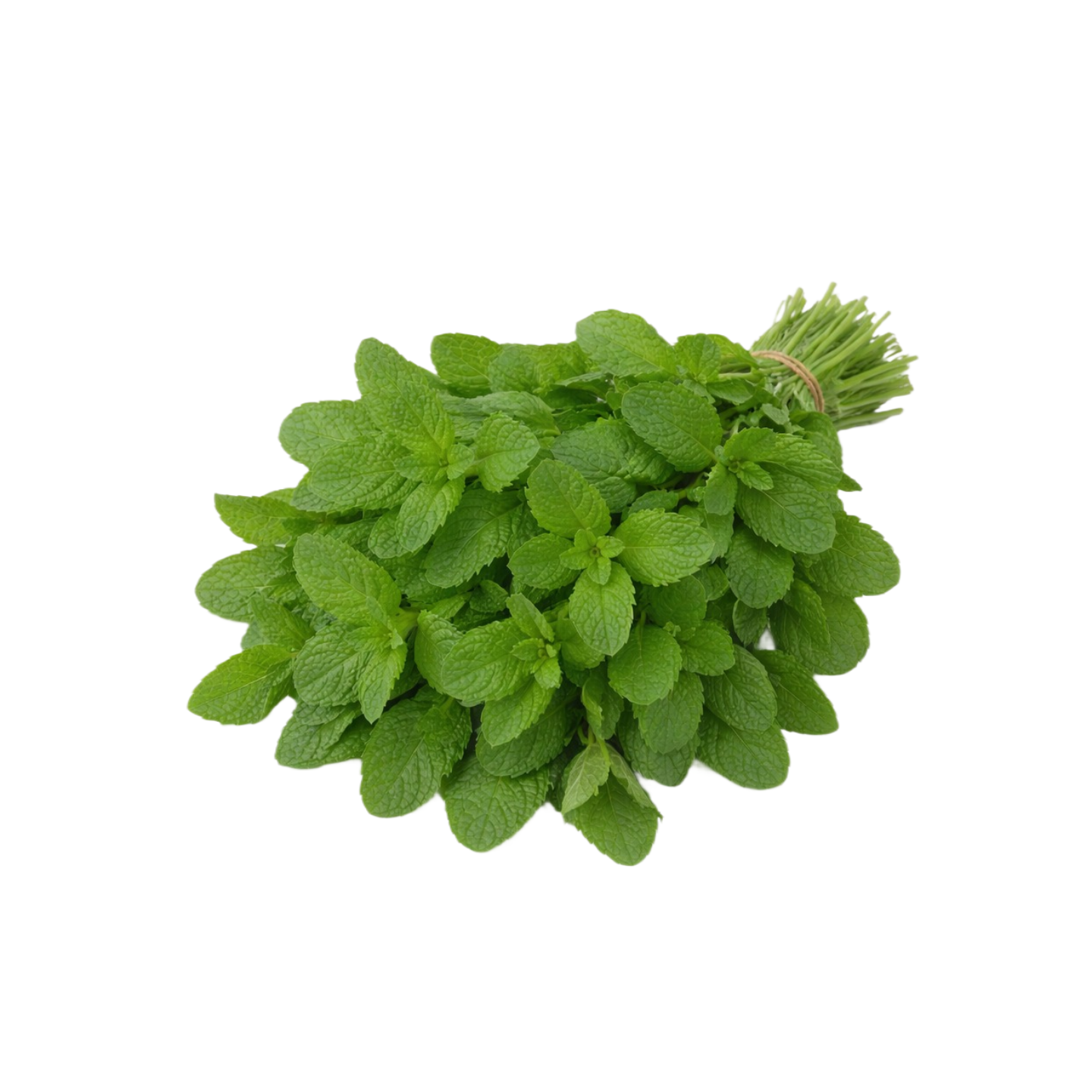 Mint Leaves