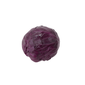 Leen Alkhair Purple Red Cabbage 500g