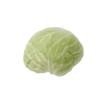 Leen Alkhair Green Cabbage 1.4kg