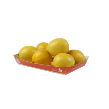 Fresh Lemon 700g