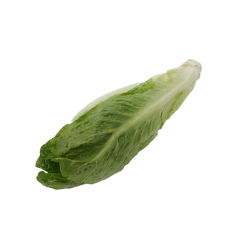 Fresh Romaine Lettuce 475g