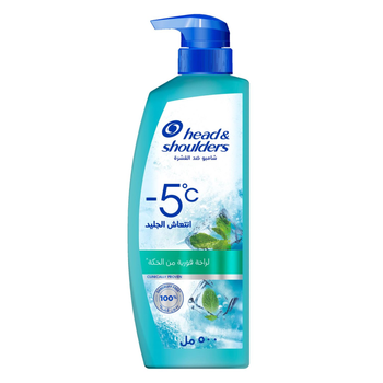 Head & Shoulders Ice Fresh Anti-Dandruff Shampoo, Instant Freezing Cool For Itch And Dandruff Relief, 500Ml