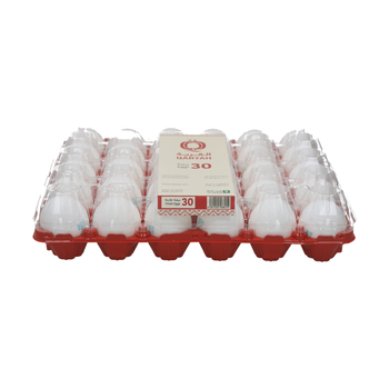 قرية بيضة بيضاء كبيرة 30قطعة