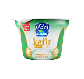 Nadec Yoghurt Kefir Plain 160g