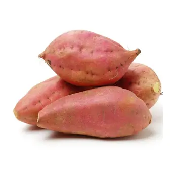 زود بطاطا حلوة شبك 900جرام