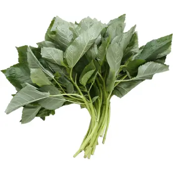 Fresh Mulukiya KSA