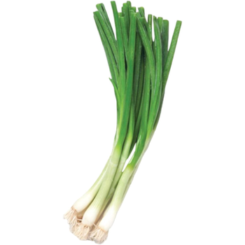 Oniongreen Green Onion KSA