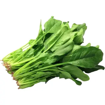 SilkLeaves KSA 1 Piece