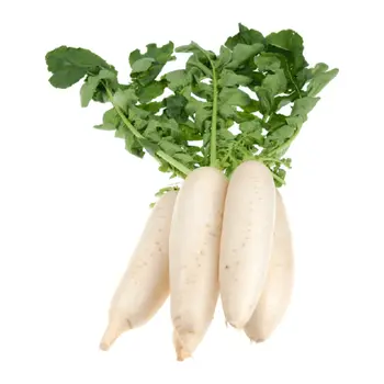 Radish White 1Pack