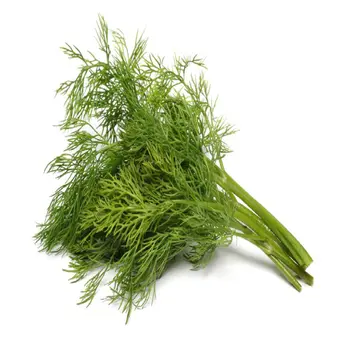 Dill 1Pack