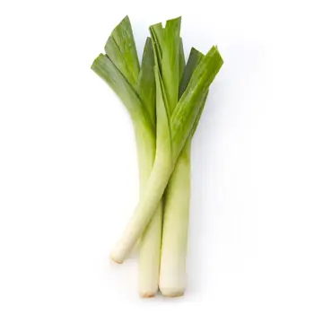 Leek 1Puck