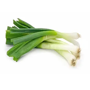 Spring Onion 1Puck
