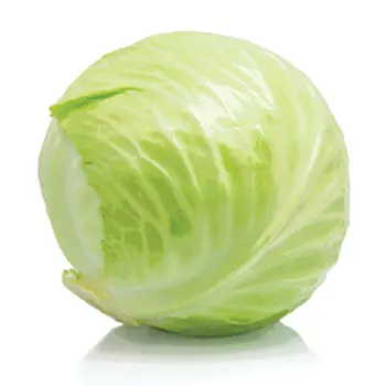 ملفوف مدور