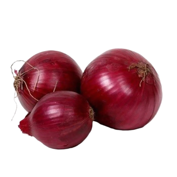 بصل أحمر