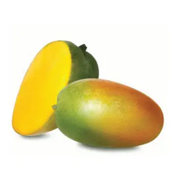 مانجو زبدية