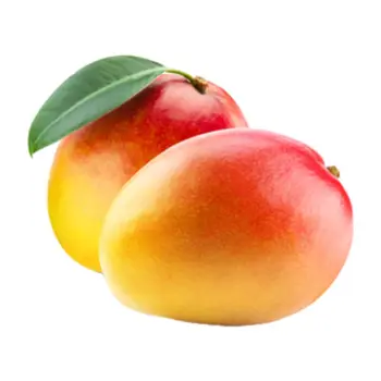 مانجو مبروكة