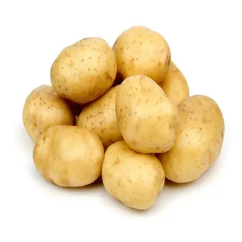بطاطس