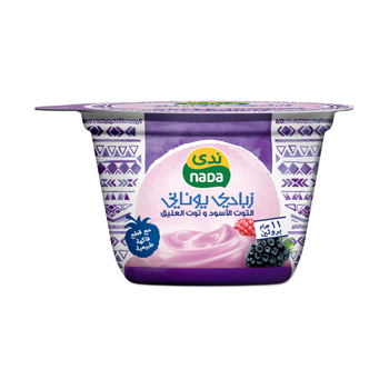 Nada greek Yoghurt Blackberry & Raspberry 160G