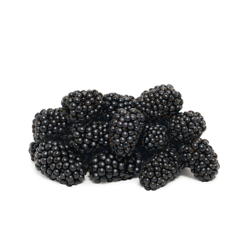 Pure Harvest Blackberry 170g