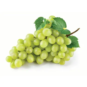 عنب ابيض