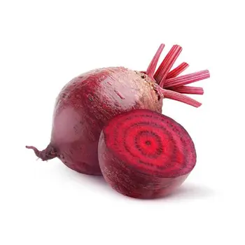 شمندر