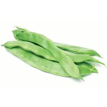 فاصوليا عريض