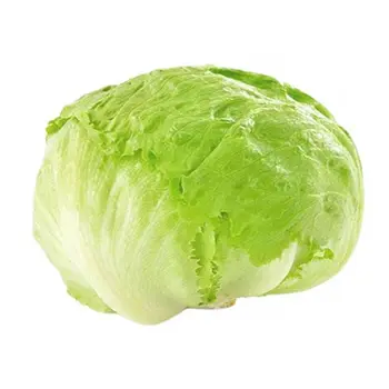 خس مدور 1قطعة