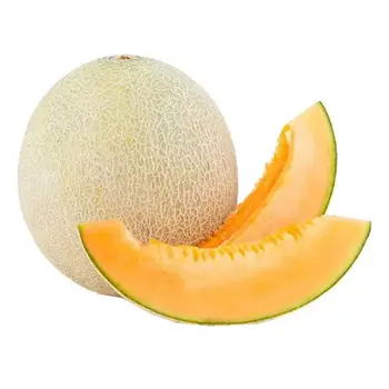 Muskmelon Jordanian