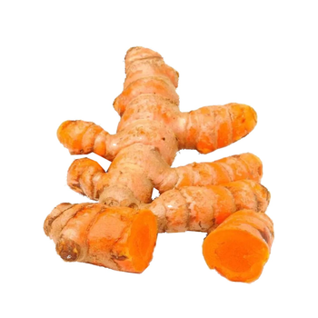 Turmeric Fresh