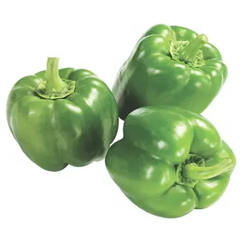 Al Qassimgreen Bell Pepper Tray 1Piece