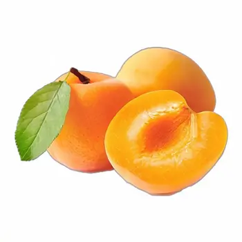 Apricot 1Piece