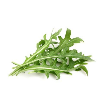 Qarnas Al Khair Baby Arugula 125g