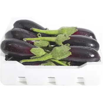 Qassim Eggplant Tray 1Piece