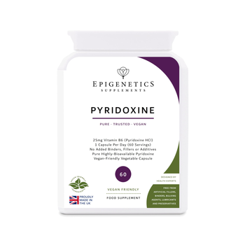 Epigenetics Pyridoxin Vegan Tablets 25mg 60 Count