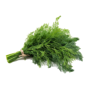 Green Dill Leaves 1Bunches