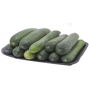 القصيم طبق خيار طازج 450جرام