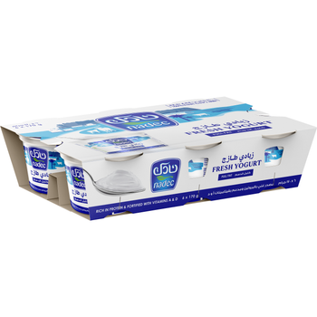 Nadec Full Fat Fresh Yoghurtpack 6 × 170g
