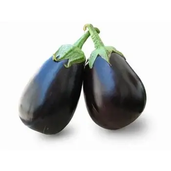 Gulf Fruit Black Big Eggplant Local 1Kg