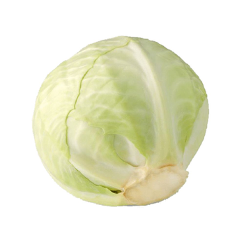 Cabbage White Leaf Loose