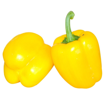 Yellow Chili Bell 1 Piece