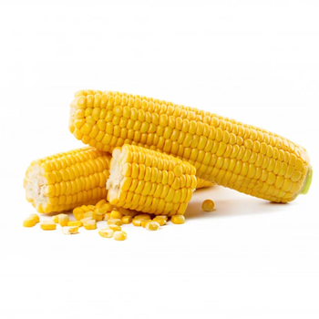 Fresh Corn 1kg