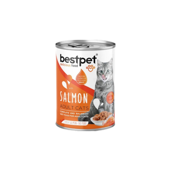 Best Pet Wet Food For Adult Cats With Salmon 400g