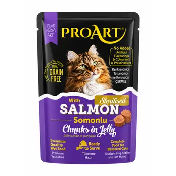 Proart Salmon In Jelly 85g
