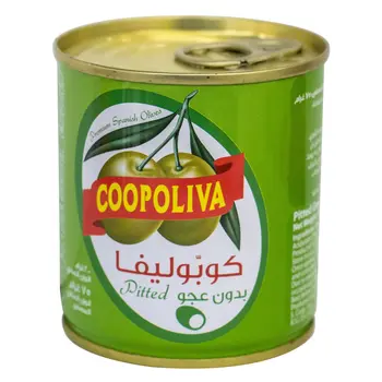 Copoliva Spanish Green Olives Pitted 75g