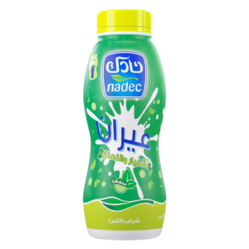 Nadec Cucumber & Mint Laban Ayran 225Ml